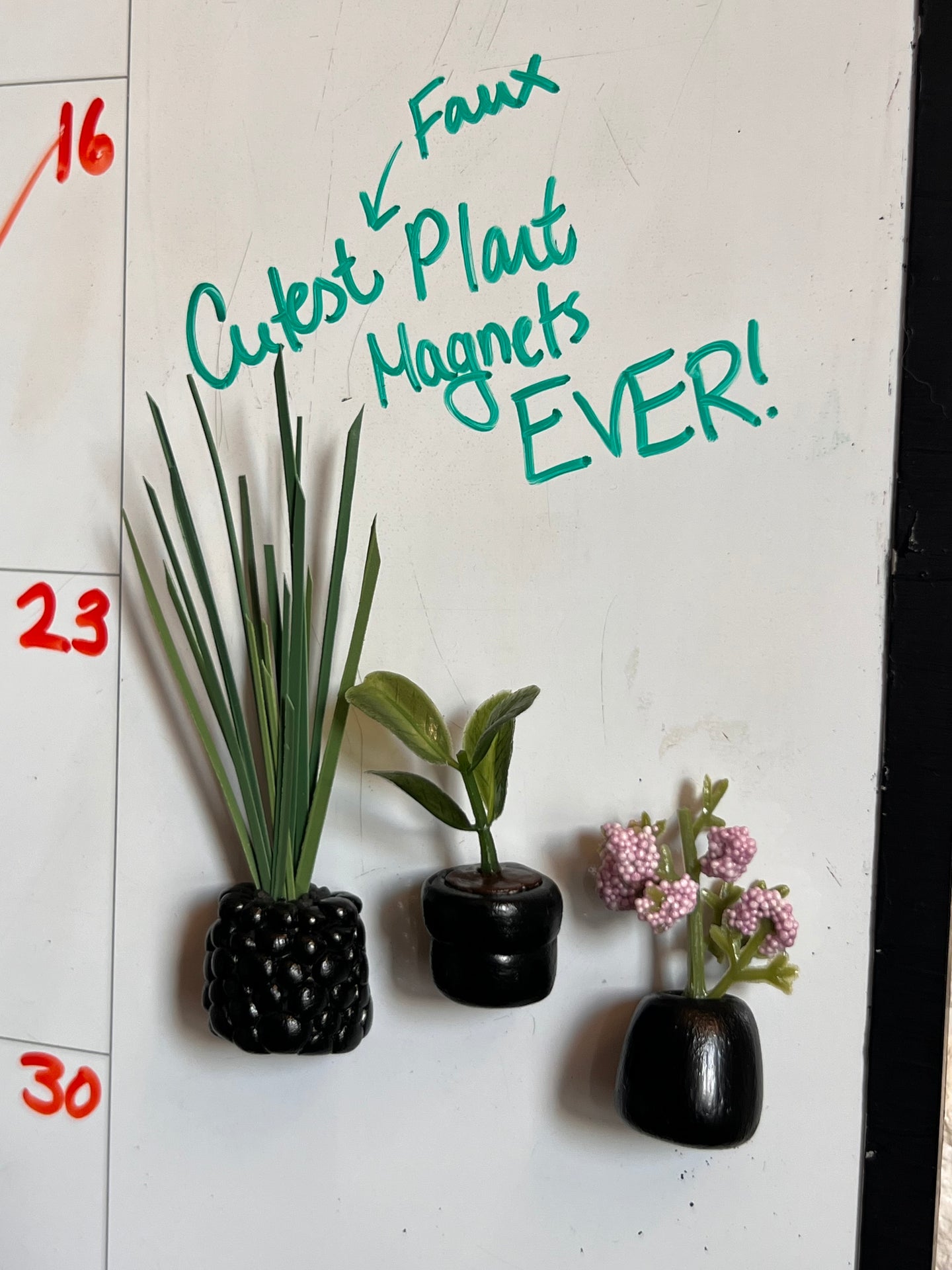 Plant Magnet | Set of 3
